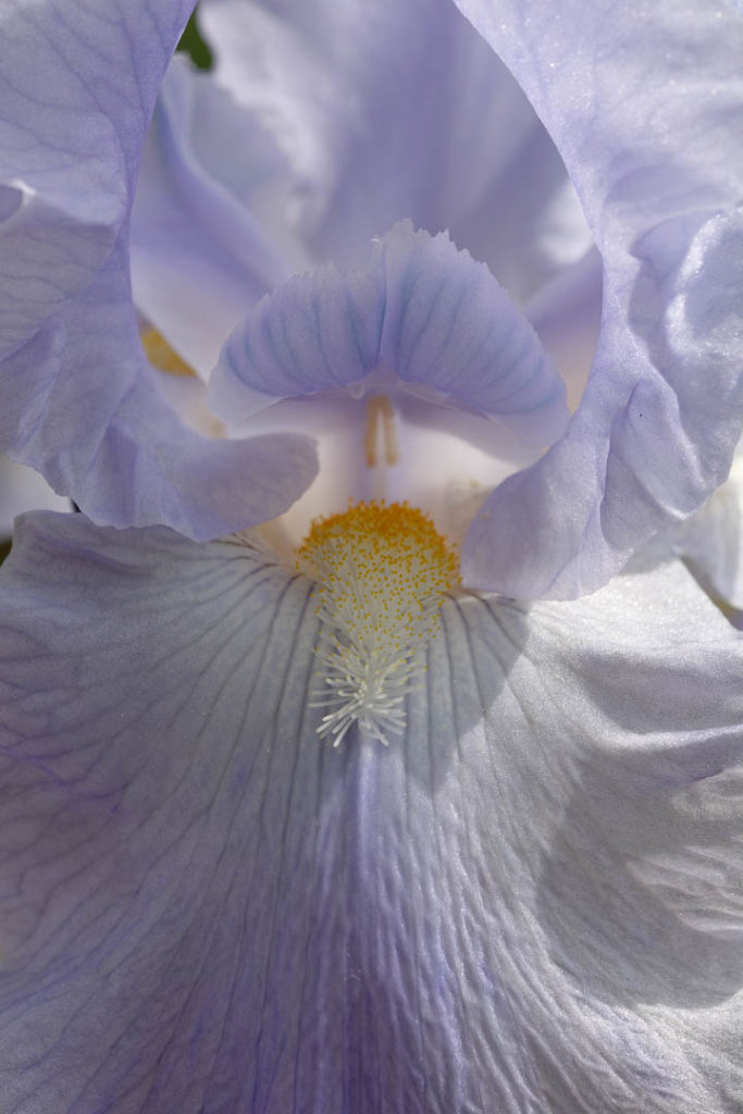 _THW5415_DxO